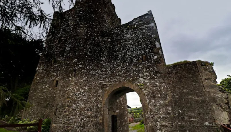 Kilteel Castle, Ireland